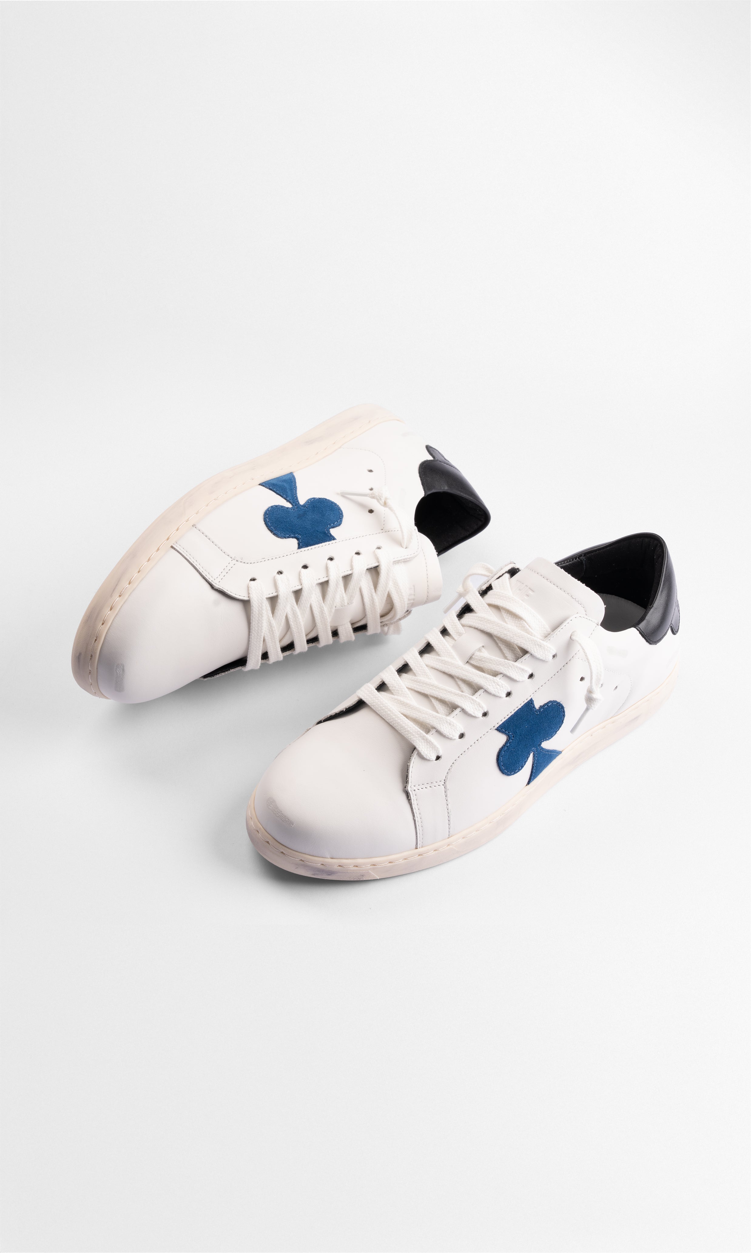 Geneva - BLUE CLOVER