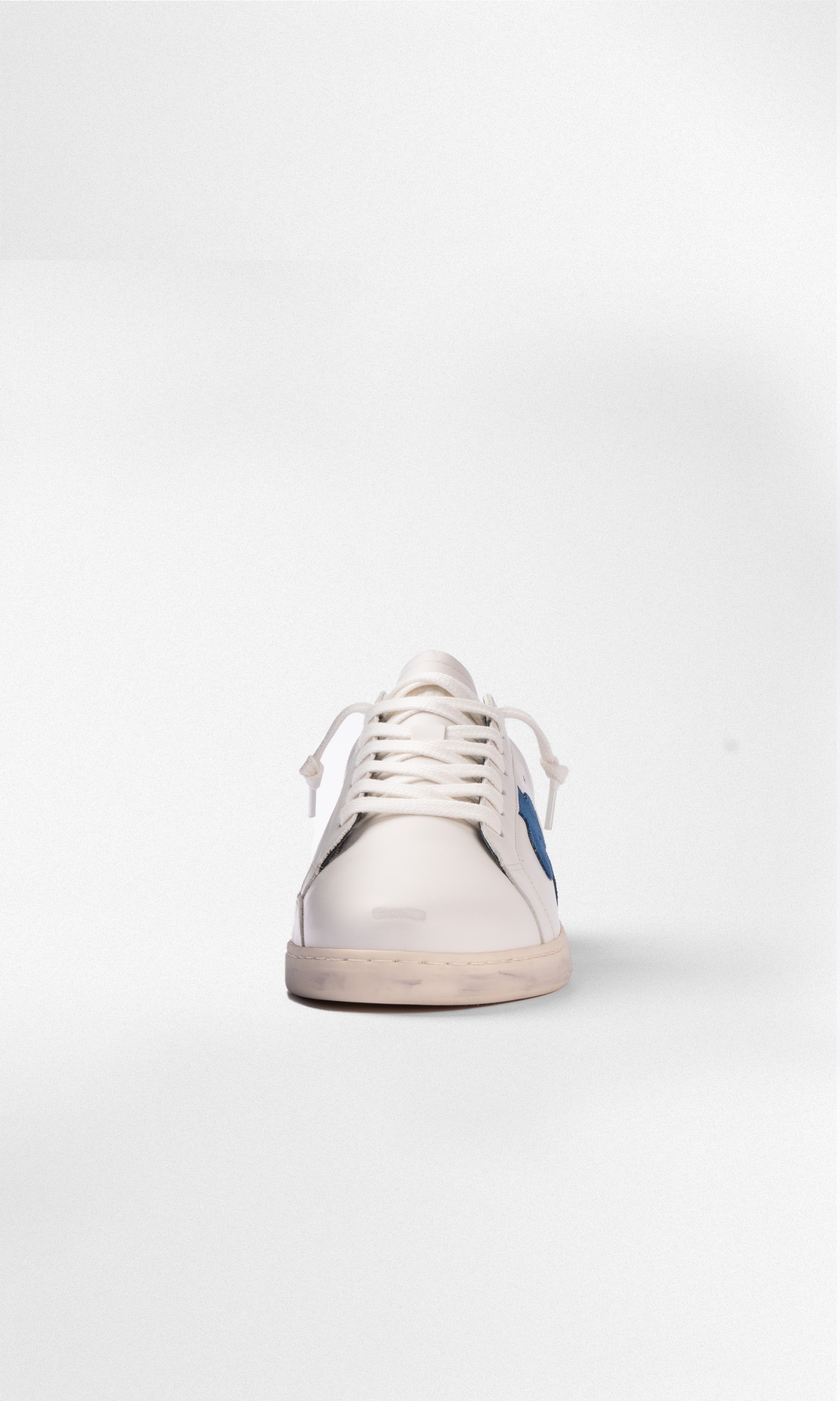 Geneva - BLUE CLOVER